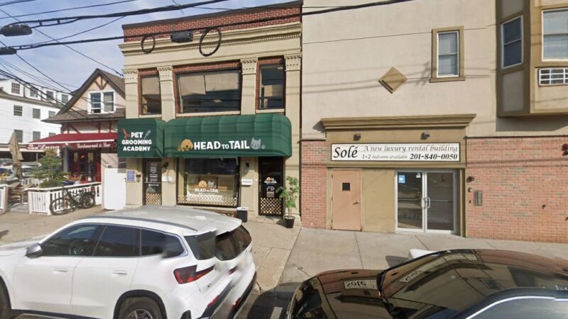 Pet Grooming Academy - Cliffside Park, NJ