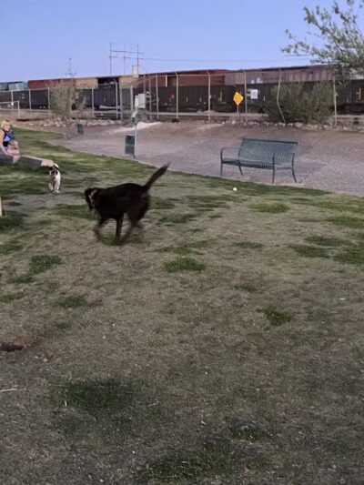 Morenci Dog Park - Clifton, AZ