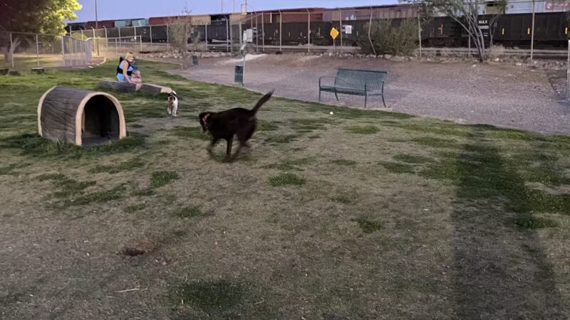 Morenci Dog Park - Clifton, AZ