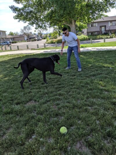 Kimwood Park - Clifton, CO