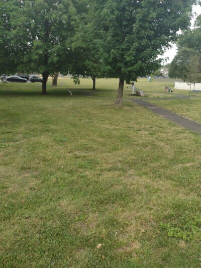 Dunney Park - Clifton, NJ