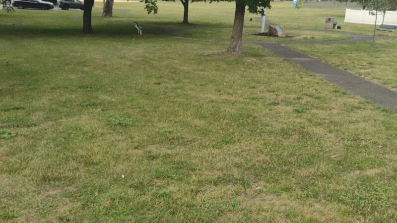 Dunney Park - Clifton, NJ
