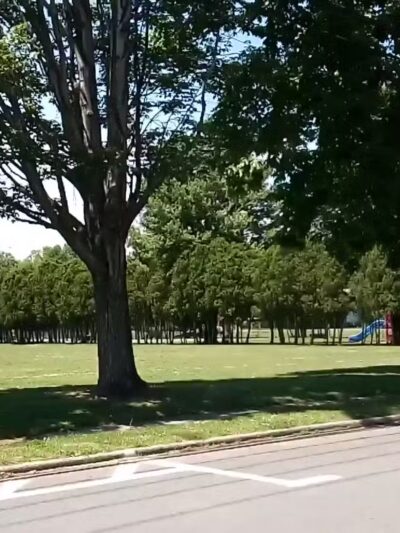 Latteri Park - Clifton, NJ