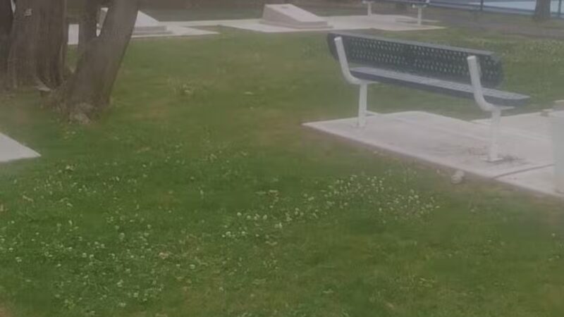 Richardson Scale Park - Clifton, NJ