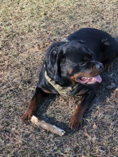 Robin Hood Park - Clifton, NJ