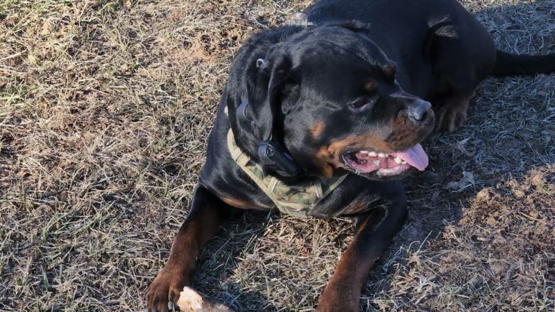 Robin Hood Park - Clifton, NJ