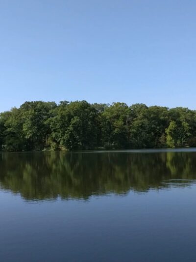 Weldon Springs State Park - Clinton, IL