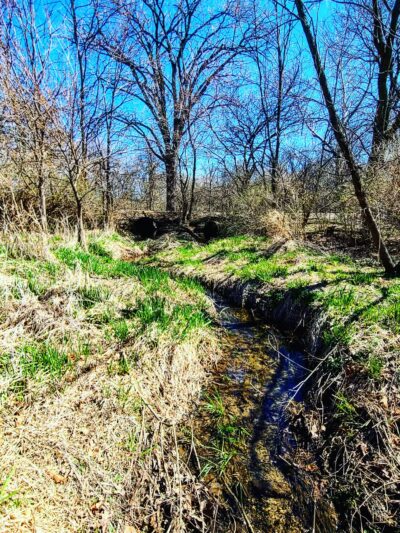 Weldon Springs State Park - Clinton, IL