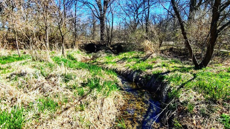 Weldon Springs State Park - Clinton, IL