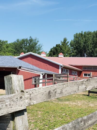 Spring Farm CARES - Clinton, NY