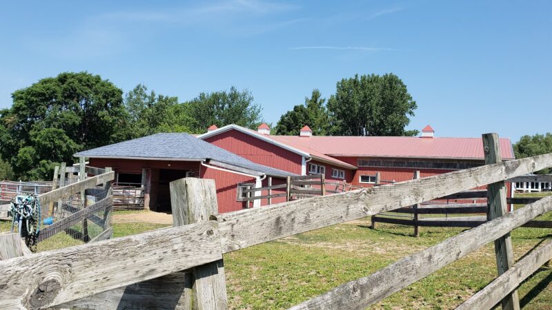 Spring Farm CARES - Clinton, NY