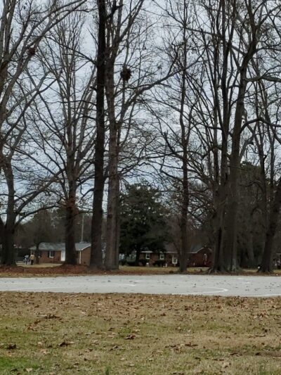 Newkirk Park - Clinton, NC