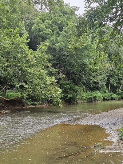 Wildflower Reserve Interpretive Center - Clinton, PA