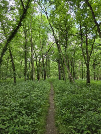 Wildflower Reserve Interpretive Center - Clinton, PA