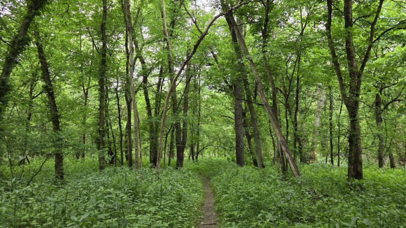 Wildflower Reserve Interpretive Center - Clinton, PA