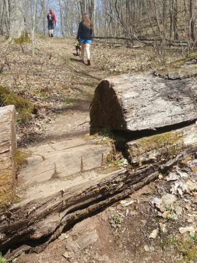 Valley Trail - Raccoon Park Rd Trailhead - Clinton, PA