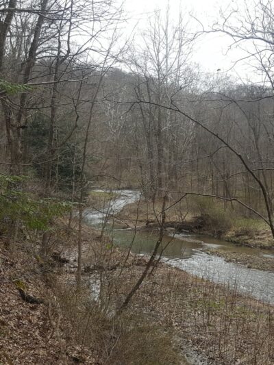Valley Trail - Raccoon Park Rd Trailhead - Clinton, PA