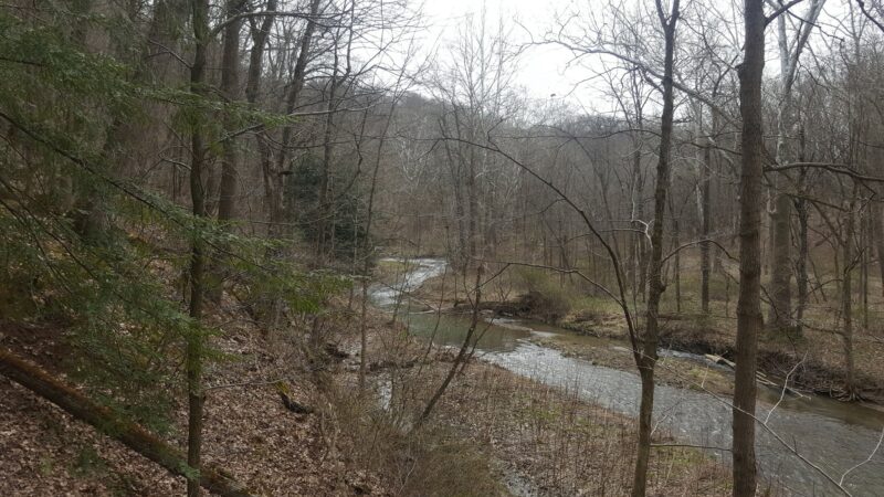 Valley Trail - Raccoon Park Rd Trailhead - Clinton, PA