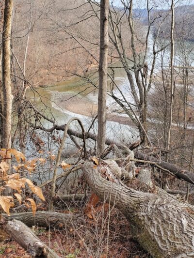 Valley Trail - Raccoon Park Rd Trailhead - Clinton, PA