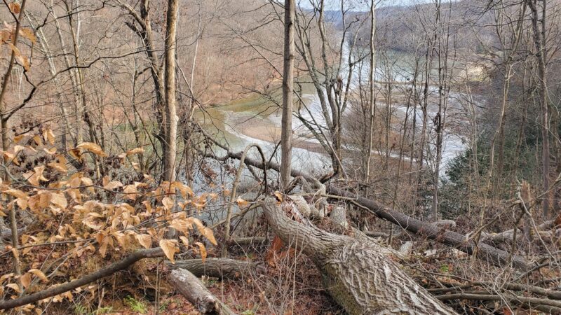 Valley Trail - Raccoon Park Rd Trailhead - Clinton, PA