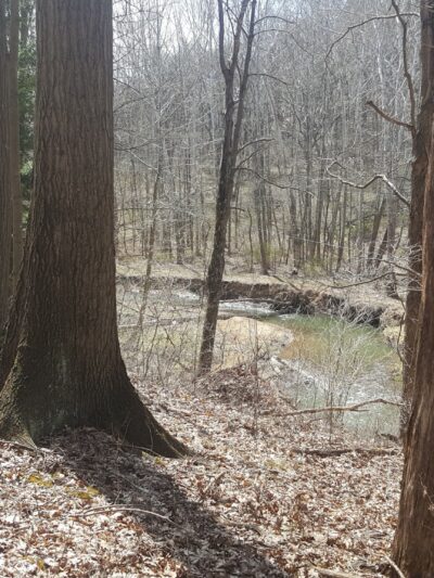 Valley Trail - Raccoon Park Rd Trailhead - Clinton, PA