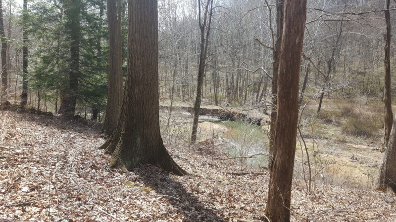 Valley Trail - Raccoon Park Rd Trailhead - Clinton, PA