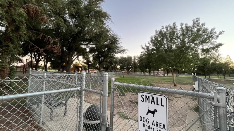 Sierra Bicentennial Dog Park - Clovis, CA