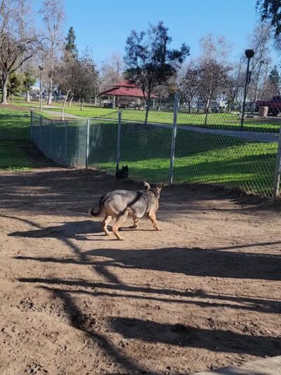 Sierra Bicentennial Dog Park - Clovis, CA