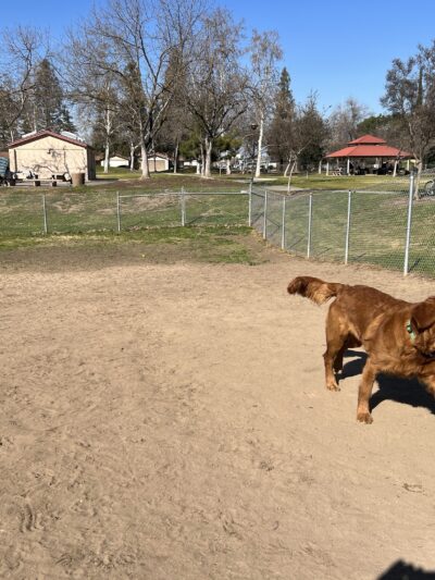 Sierra Bicentennial Dog Park - Clovis, CA