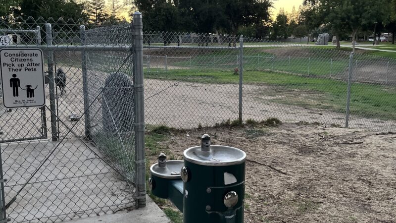 Sierra Bicentennial Dog Park - Clovis, CA