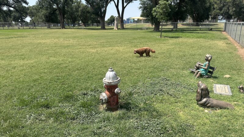 Hillcrest Dog Park - Clovis, NM