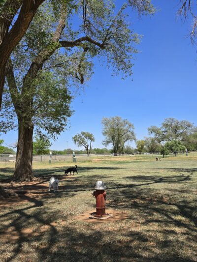 Hillcrest Dog Park - Clovis, NM