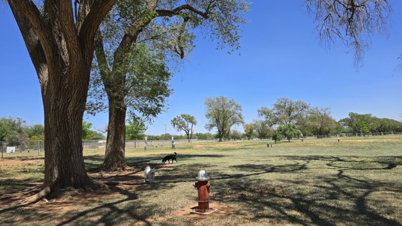 Hillcrest Dog Park - Clovis, NM