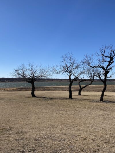 Lake, Clyde (Clyde Lake) - Clyde, TX