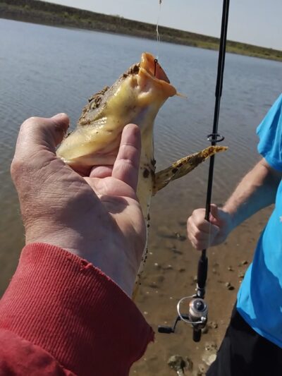 Lake, Clyde (Clyde Lake) - Clyde, TX