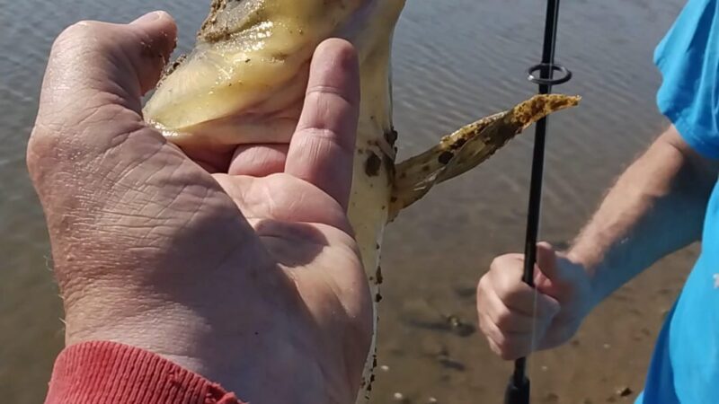 Lake, Clyde (Clyde Lake) - Clyde, TX