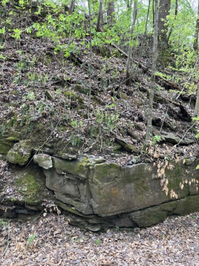 Five Mile Creek Greenway Trail System Parking Area (Shady Grove) - Coalburg, AL