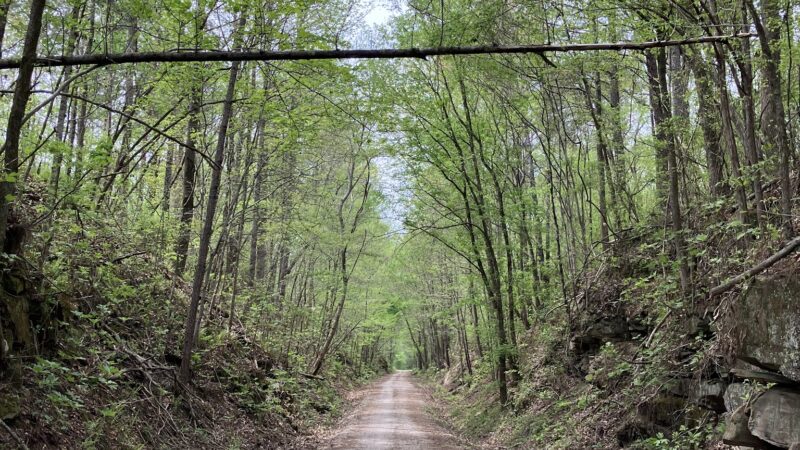 Five Mile Creek Greenway Trail System Parking Area (Shady Grove) - Coalburg, AL