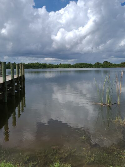 Fay Lake Wilderness Park off leash Dog Park - Cocoa, FL