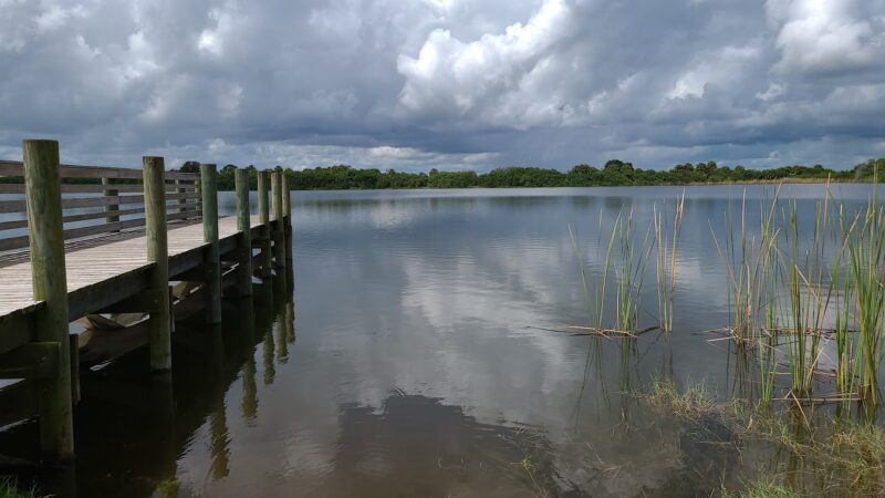 Fay Lake Wilderness Park off leash Dog Park - Cocoa, FL