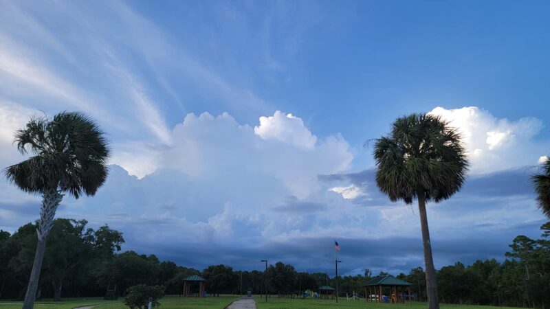 Rolston Park - Coden, AL