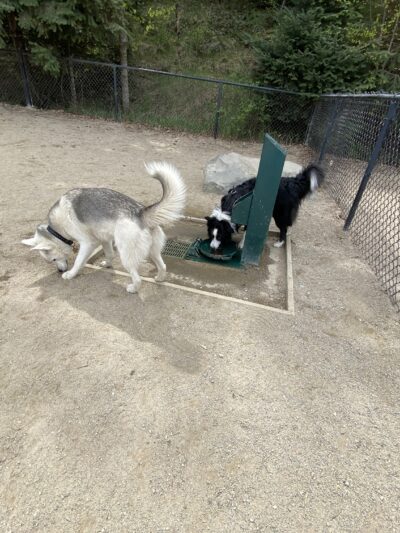 McCuen Dog Park - Coeur d'Alene, ID