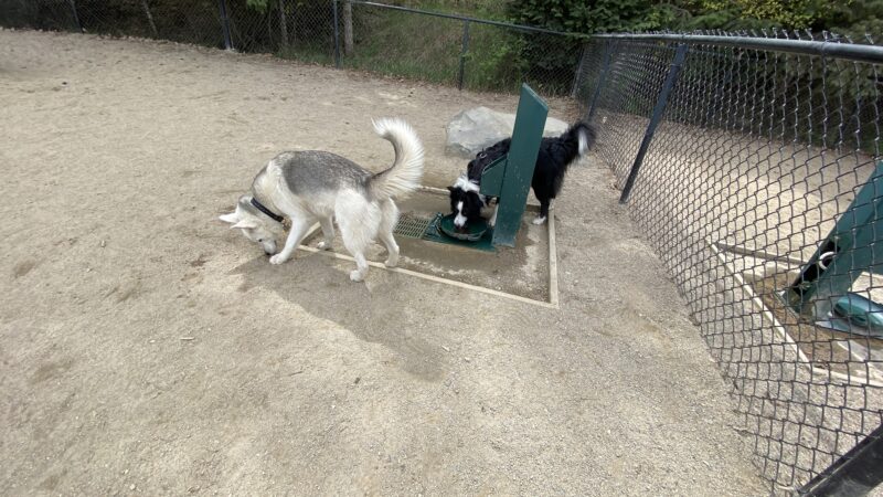 McCuen Dog Park - Coeur d'Alene, ID
