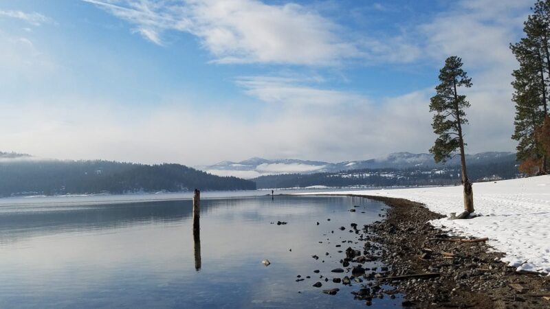 McEuen Park and Dog Park - Coeur d'Alene, ID