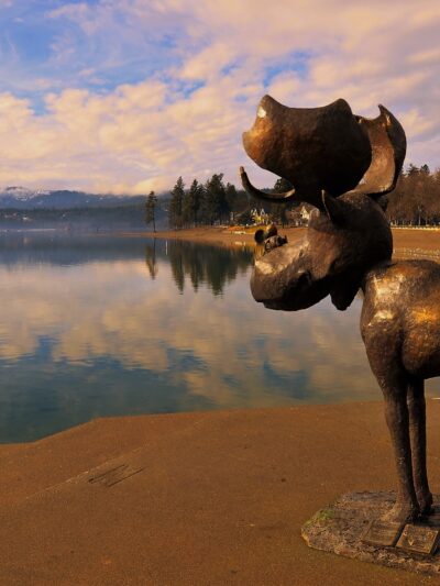 McEuen Park and Dog Park - Coeur d'Alene, ID