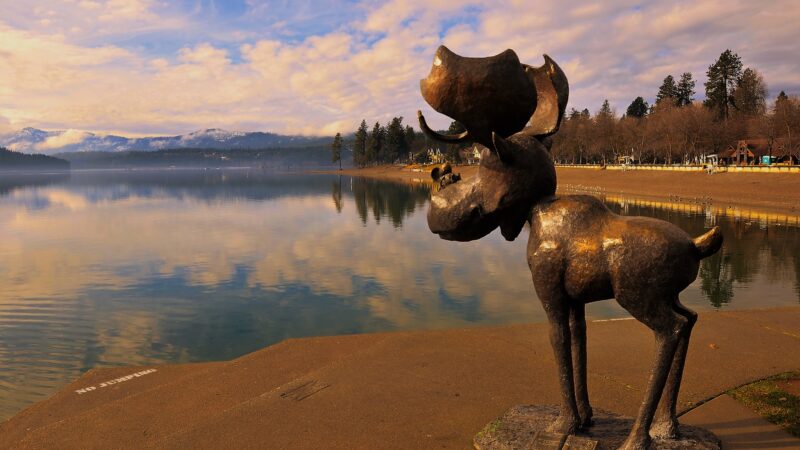 McEuen Park and Dog Park - Coeur d'Alene, ID