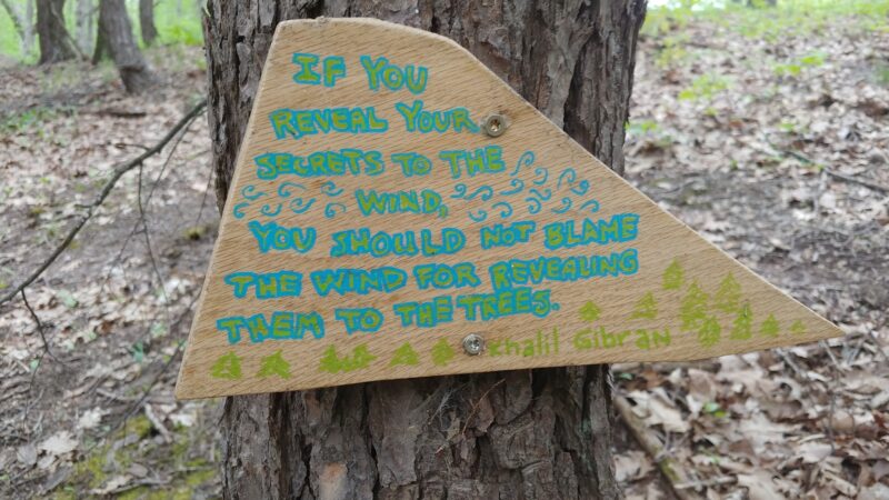 Magic Forest Farm - Coeymans Hollow, NY