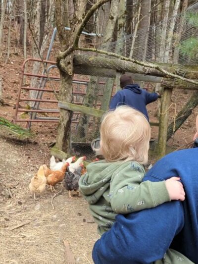 Magic Forest Farm - Coeymans Hollow, NY