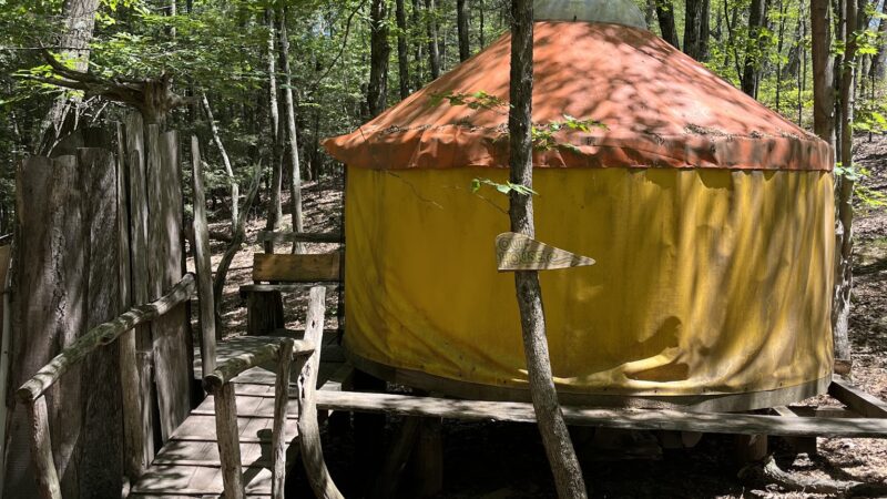 Magic Forest Farm - Coeymans Hollow, NY