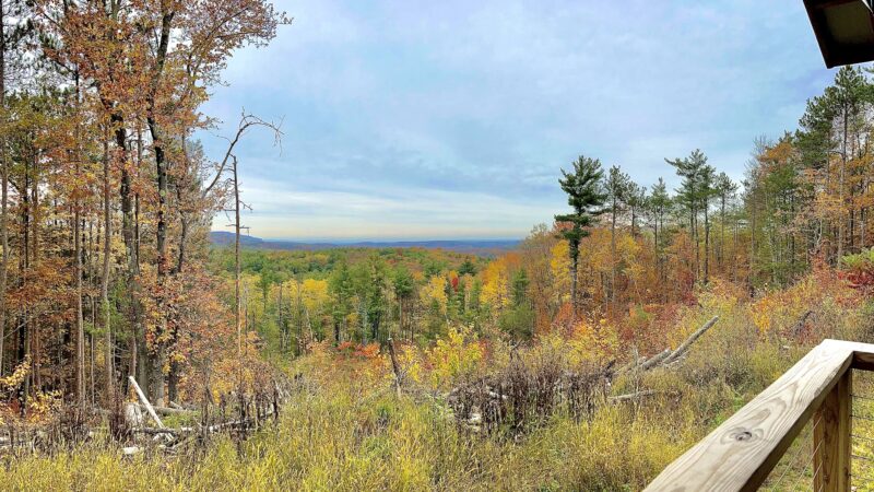 Magic Forest Farm - Coeymans Hollow, NY